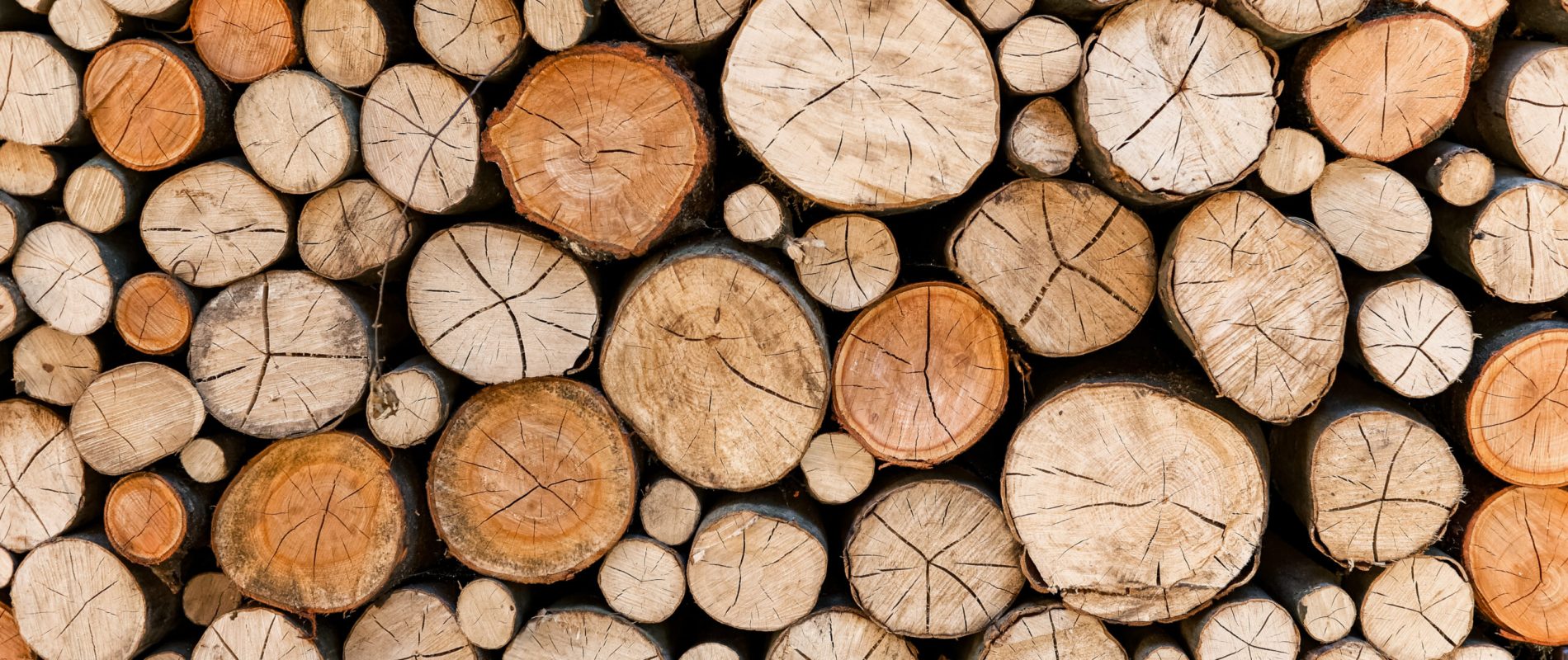 Cross section of tree trunks, timber background. Log trunks pile, the logging timber wood industry. Cutting tree trunks placed together for interior decorate. Decoration of cutting tree